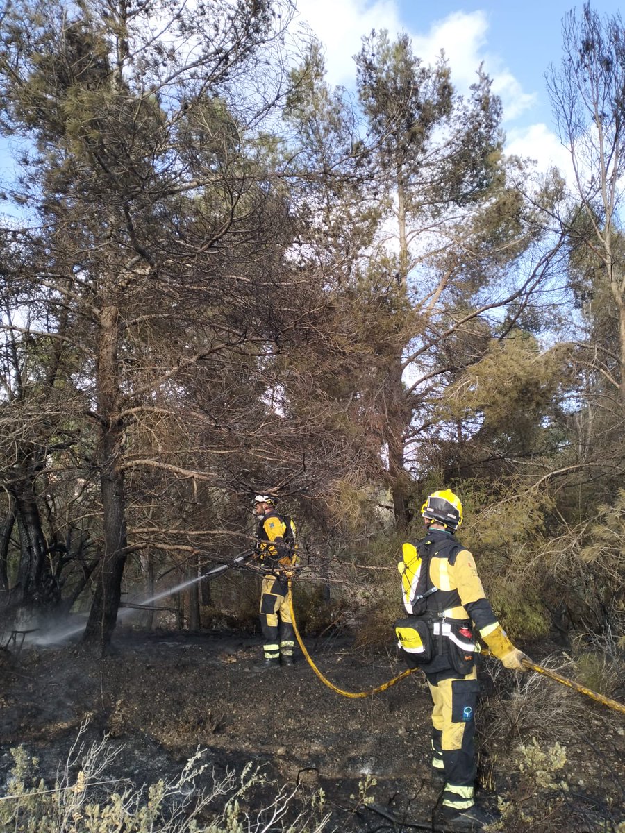 Incendi forestal #IFSonCabellot
Controlat 19:00 
Gravetatpotencial 0
Afectades aprox. 0,69 ha de pinar
#Felanitx #Mallorca
@ibanat_IB @BombersdeMca @Emergencies_112
