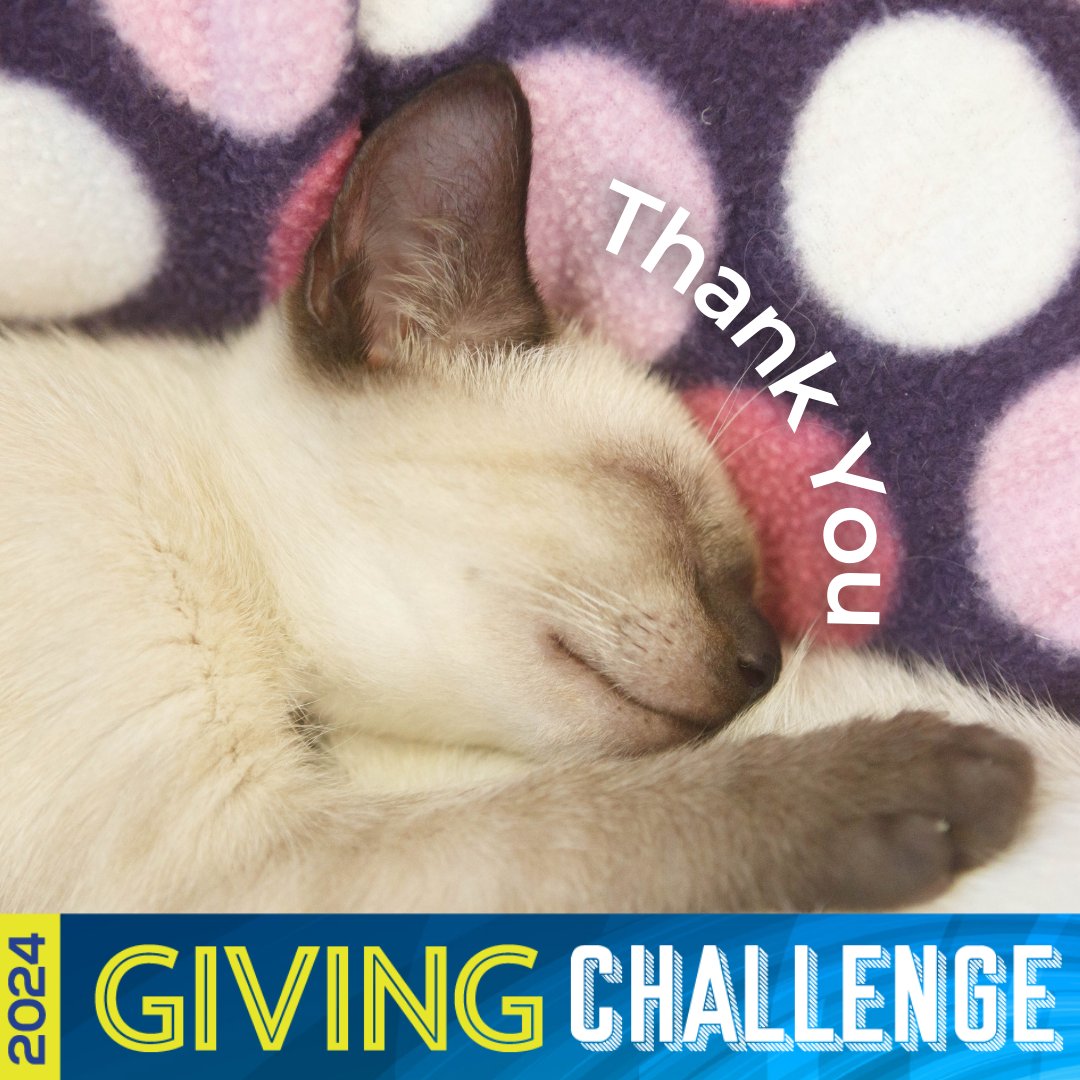 Thank you to Susan F. for your generous donation in support of #givingchallenge2024 Your support will help Cat Depot save more lives! 📷📷 The 2024 Giving Challenge is presented by the Community Foundation of Sarasota County with giving strengthened by The Patterson Foundation!