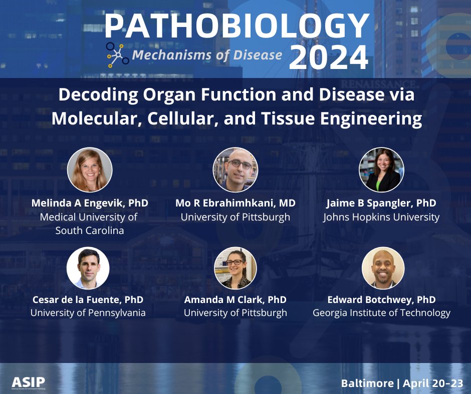 ASIPath's tweet photo. This session brings together experts at the forefront of #molecular, #cellular, and #tissue engineering to explore complexities of #organfunction and #disease. See the full #Pathobiology2024 program https://t.co/jyXn37hGgd
@MedUnivSC @PittTweet @JohnsHopkins @Penn @GeorgiaTech https://t.co/KWul7YTjBX