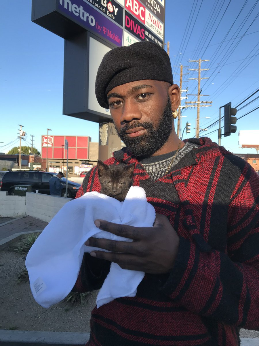 samohtmusic's tweet photo. I rescued a 3 week old kitten last night, gave it a bath, got all the ticks off of her, wiped her eyes, and held her. She was crying and running in the street so I reached out to @thereishope_la and they took the kitten this morning and fed her immediately. https://t.co/fDLPoBWDqd