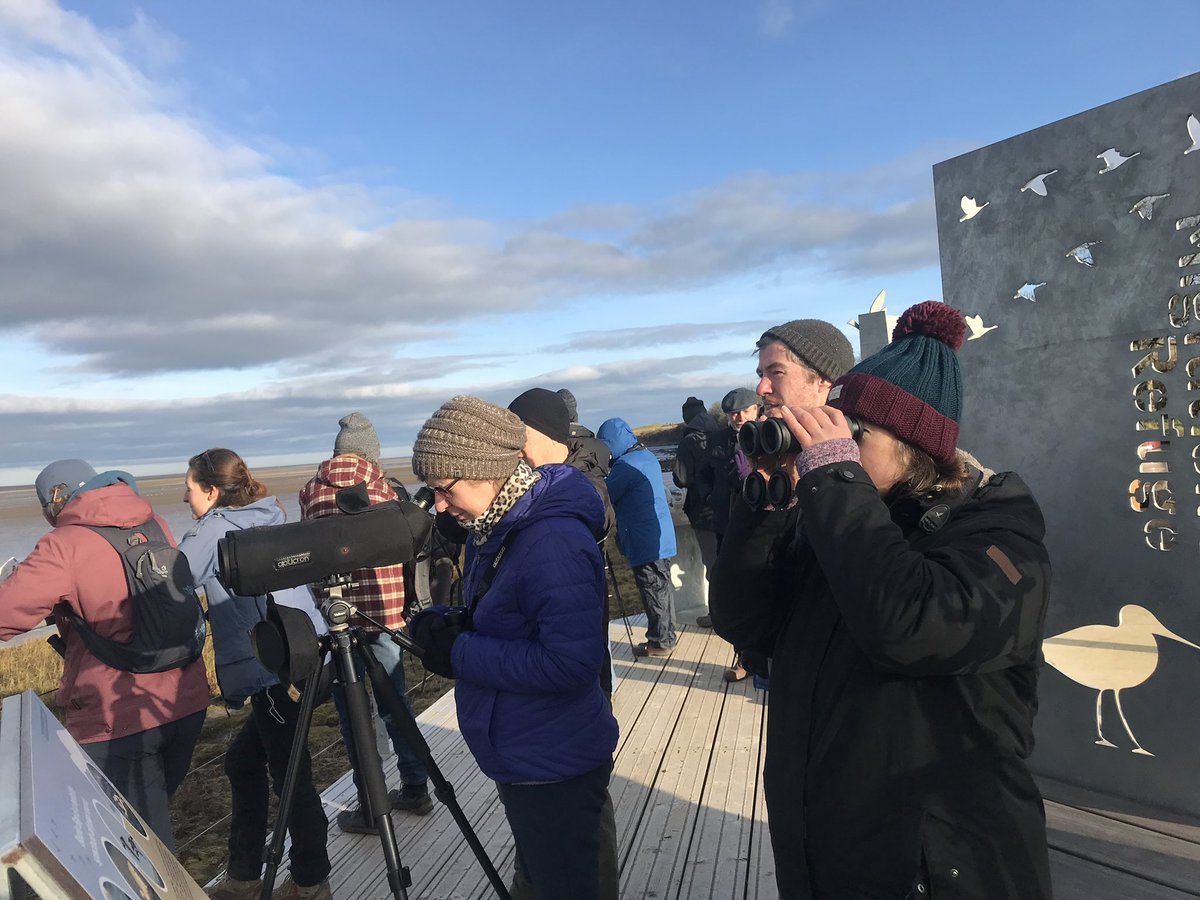 Come down to the Budle Bay platform tomorrow afternoon. Staff and volunteers will be on hand to show you shorebirds and the importance of the Reserve for them. Binoculars and telescopes are provided but feel free to bring your own. From 12 - 2pm @LifeWader @NE_Northumbria