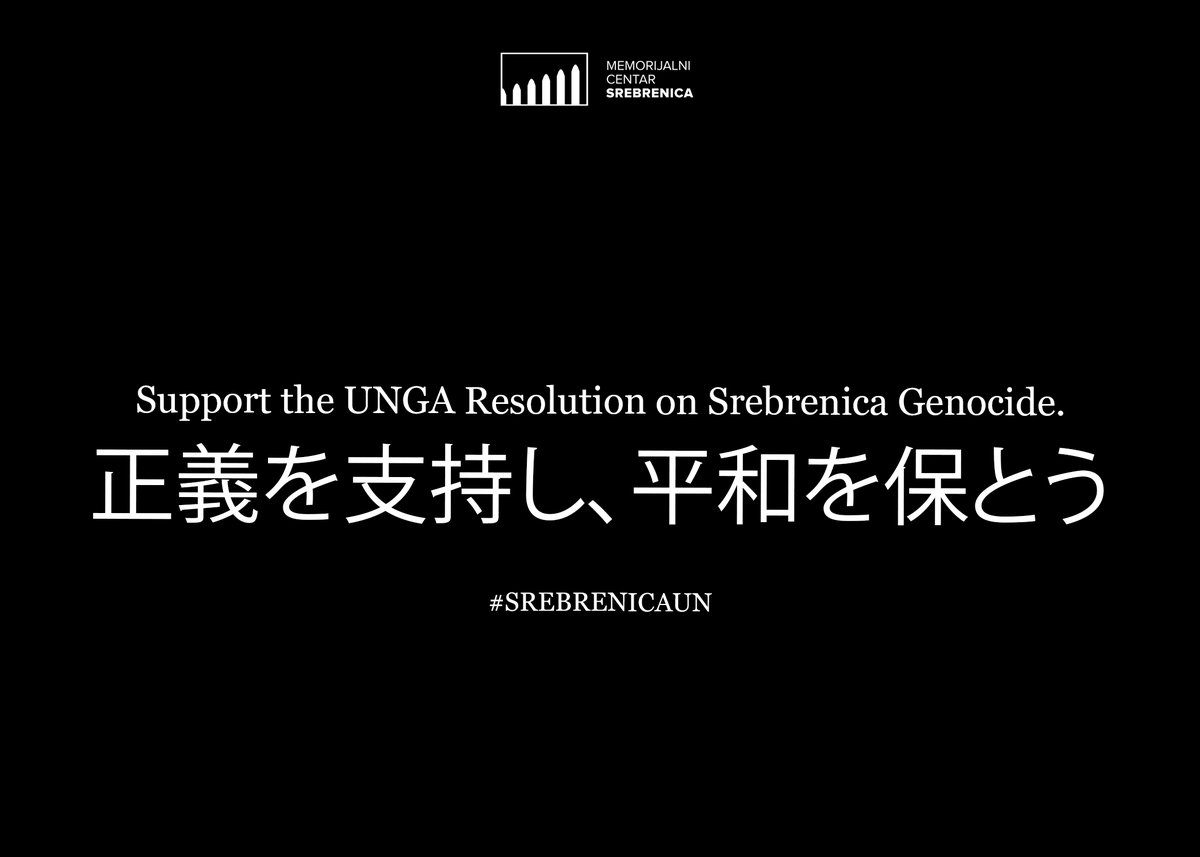 SrebrenicaMC's tweet photo. .@SrebrenicaMC has urged all international missions and embassies in Bosnia and Herzegovina to lend their support to the advocacy for the adoption of the UNGA resolution on Srebrenica. #SrebrenicaUN https://t.co/AzMU4v62f5