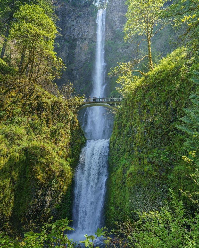 Oregon USA 🇺🇸