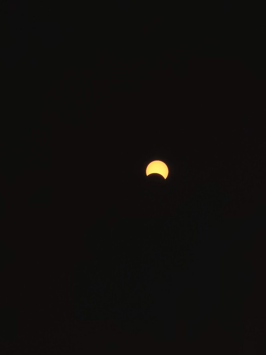 Look, I know I'm a little late on these eclipse pics. And they aren't nearly as impressive as some I've seen. But the S24 Ultra did a pretty darn good job capturing the partial eclipse with some sharp edges around the sun. And my puppy is cute.