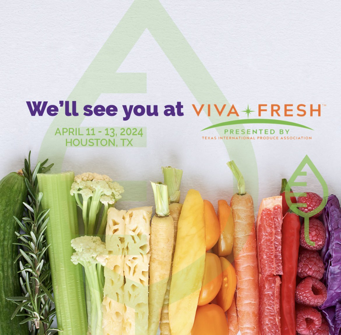 #TeamTAM is headed to <a href="/VivaFreshExpo/">Viva Fresh Expo</a>! Stephanie and Mary are going to Houston, ready to connect with leaders in the fresh produce industry. Will we be seeing you there? 

tenacremarketing.com

#VIVAFresh #TAMonTheRoad