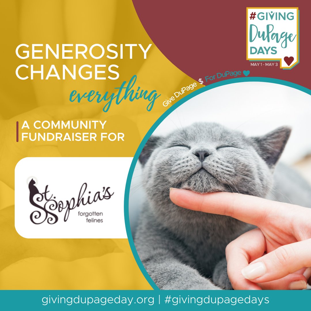 Ecstatic to have St. Sophia’s Forgotten Felines participating in #GivingDuPageDays, May 1-3! St. Sophia’s is the only 100% volunteer-run animal shelter facility in DuPage County that rescues, rehomes, and rehabilitates 1000+ cats annually. bit.ly/3PNYalA