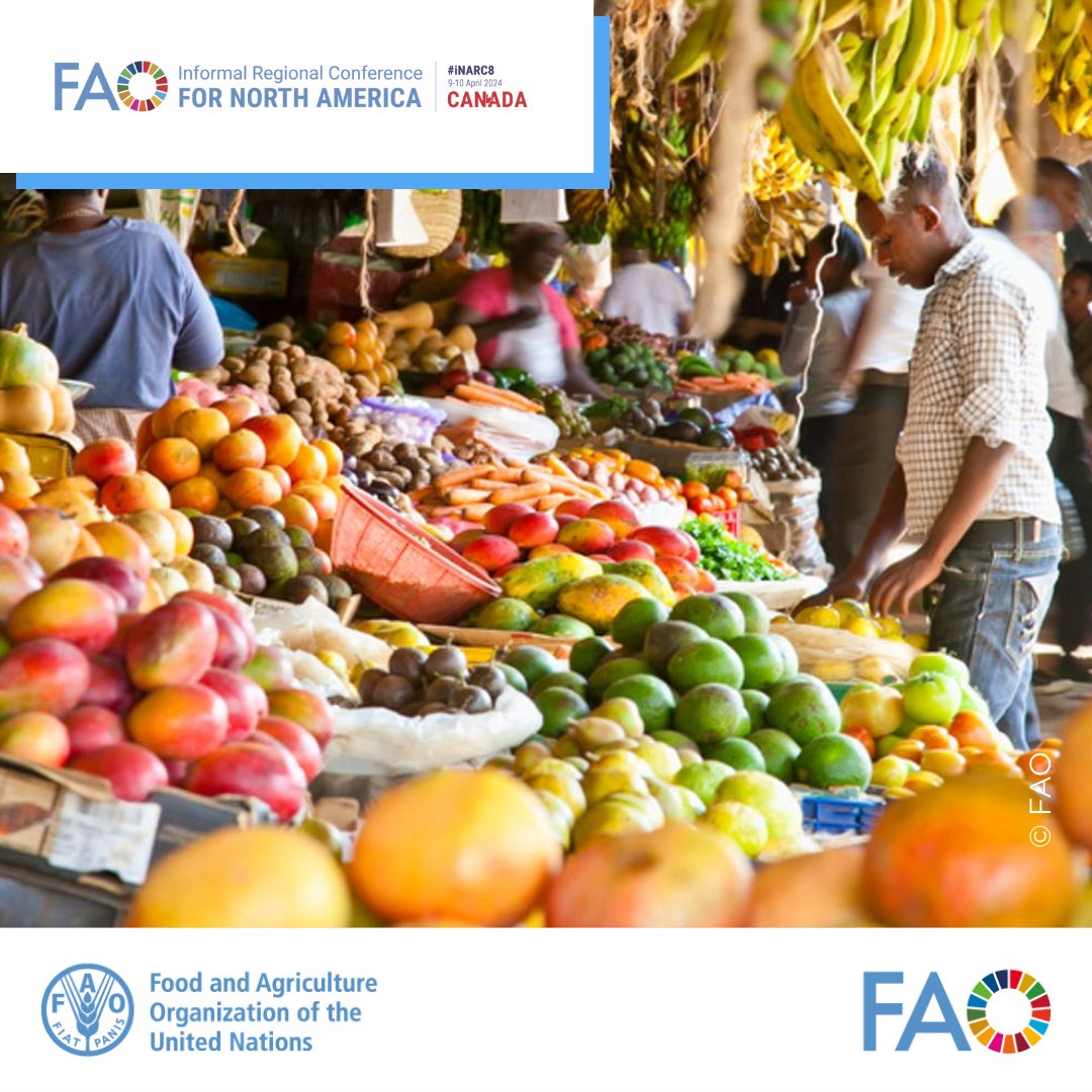 Transparent and efficient agricultural commodity markets and trade are essential for global #FoodSecurity. @FAO is working with Member countries in agrifood trade & supply chains by providing policy support and monitoring tools. Find out how👉bit.ly/4aiZNQD #INARC8