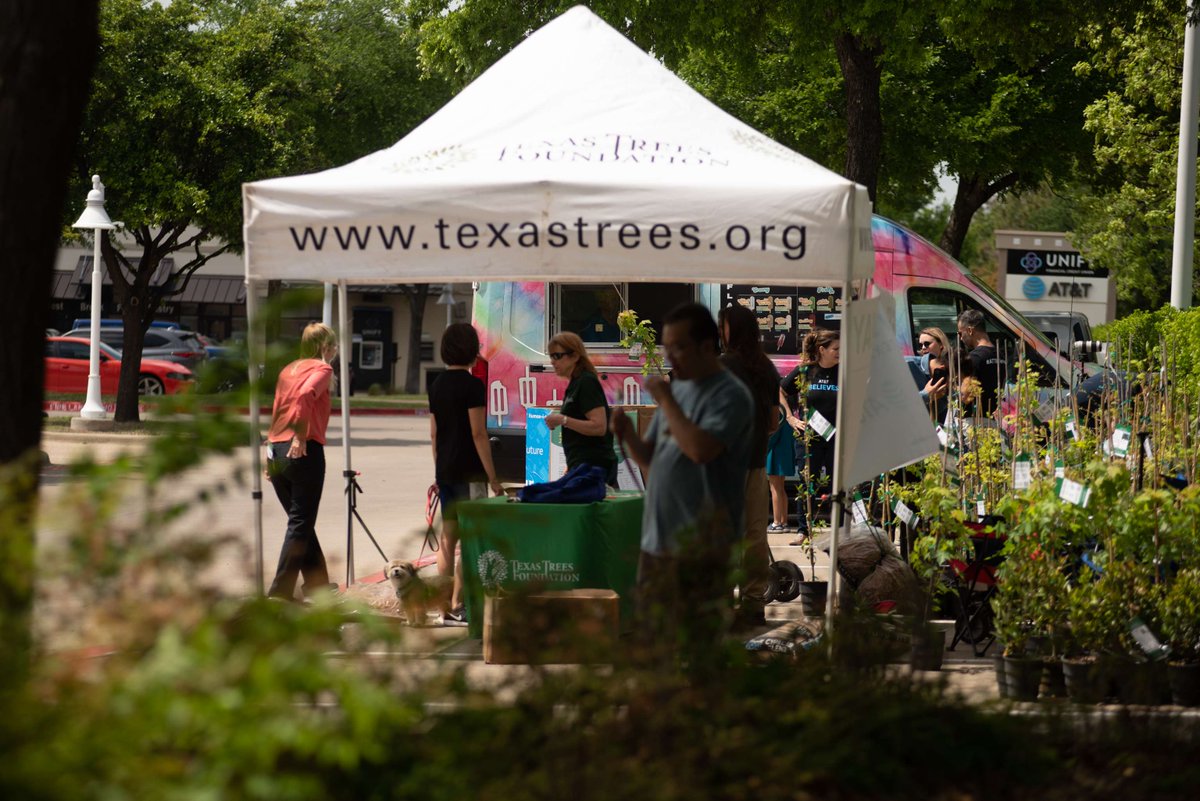 Texas_Trees's tweet photo. That's a wrap! We're thrilled to mark Earth Month alongside @arbordayfoundation &amp; @attimpact! We've recently distributed 240 trees to folks in Dallas &amp; Frisco. 🌳🌍 #trees #treeplanters #earthmonth2024 https://t.co/hRXkvyIwww