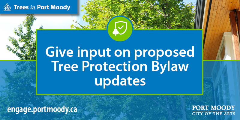 The City is proposing updates to Port Moody’s Tree Protection Bylaw and we want your input. Find out how you can get involved: tinyurl.com/2wuskdtf #portmoody