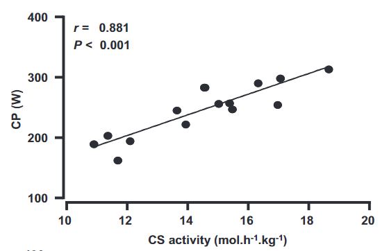 Strong correlation between CS activity (a valid marker of mitochondrial content) and CP