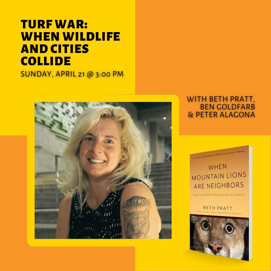 Later this month @latimesfob California Director of the National Wildlife Federation @bethpratt, author of 𝙒𝙝𝙚𝙣 𝙈𝙤𝙪𝙣𝙩𝙖𝙞𝙣 𝙇𝙞𝙤𝙣𝙨 𝘼𝙧𝙚 𝙉𝙚𝙞𝙜𝙝𝙗𝙤𝙧𝙨, joins @ben_a_goldfarb and Peter Alagona to explore how wildlife and urban development intersect.