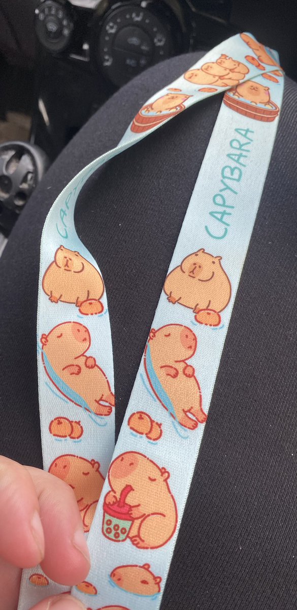This has to be one of my favourite things I’ve received 😍 who doesn’t love capybaras 🎉