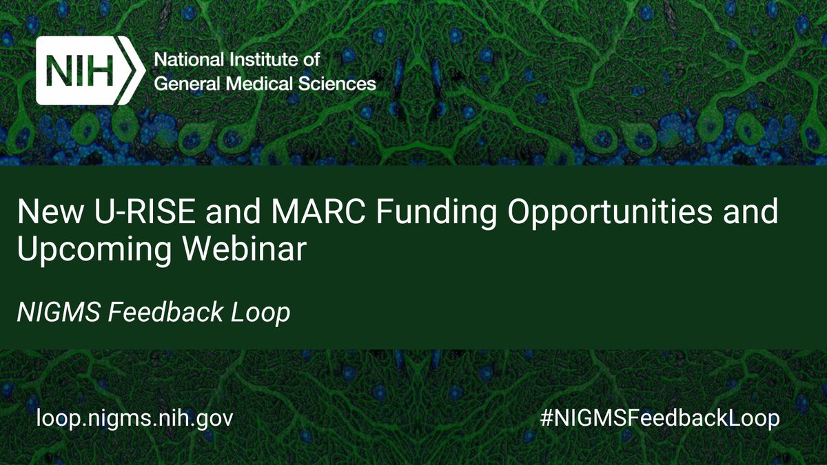 NOFOs for the Undergraduate Research Training Initiative for Student Enhancement & Maximizing Access to Research Careers programs have been reissued. Interested applicants are encouraged to join our webinar on May 10 for more info. go.nih.gov/FrBAAz9 #NIGMSFeedbackLoop