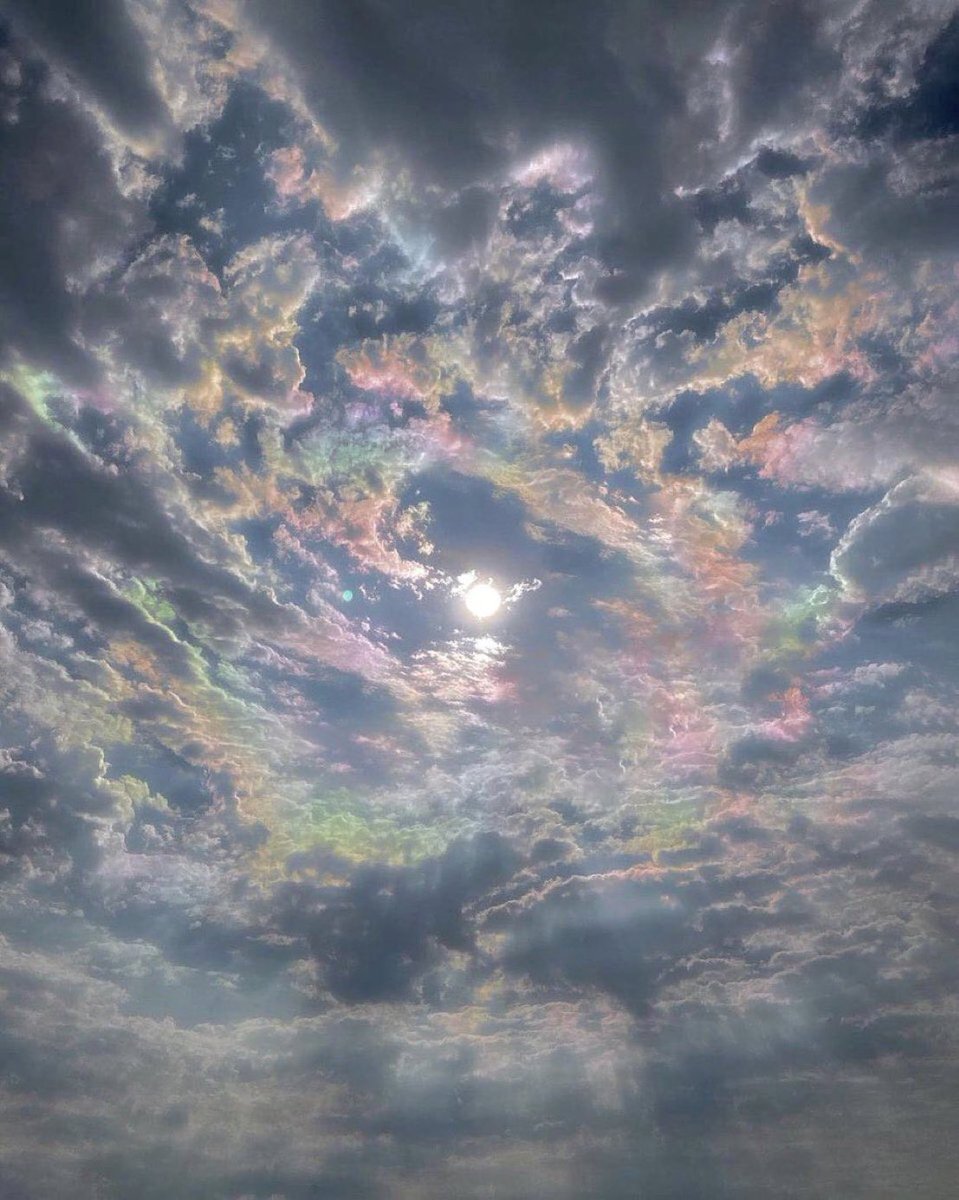 benny_broski's tweet image. what billie eilish song does this remind you of?