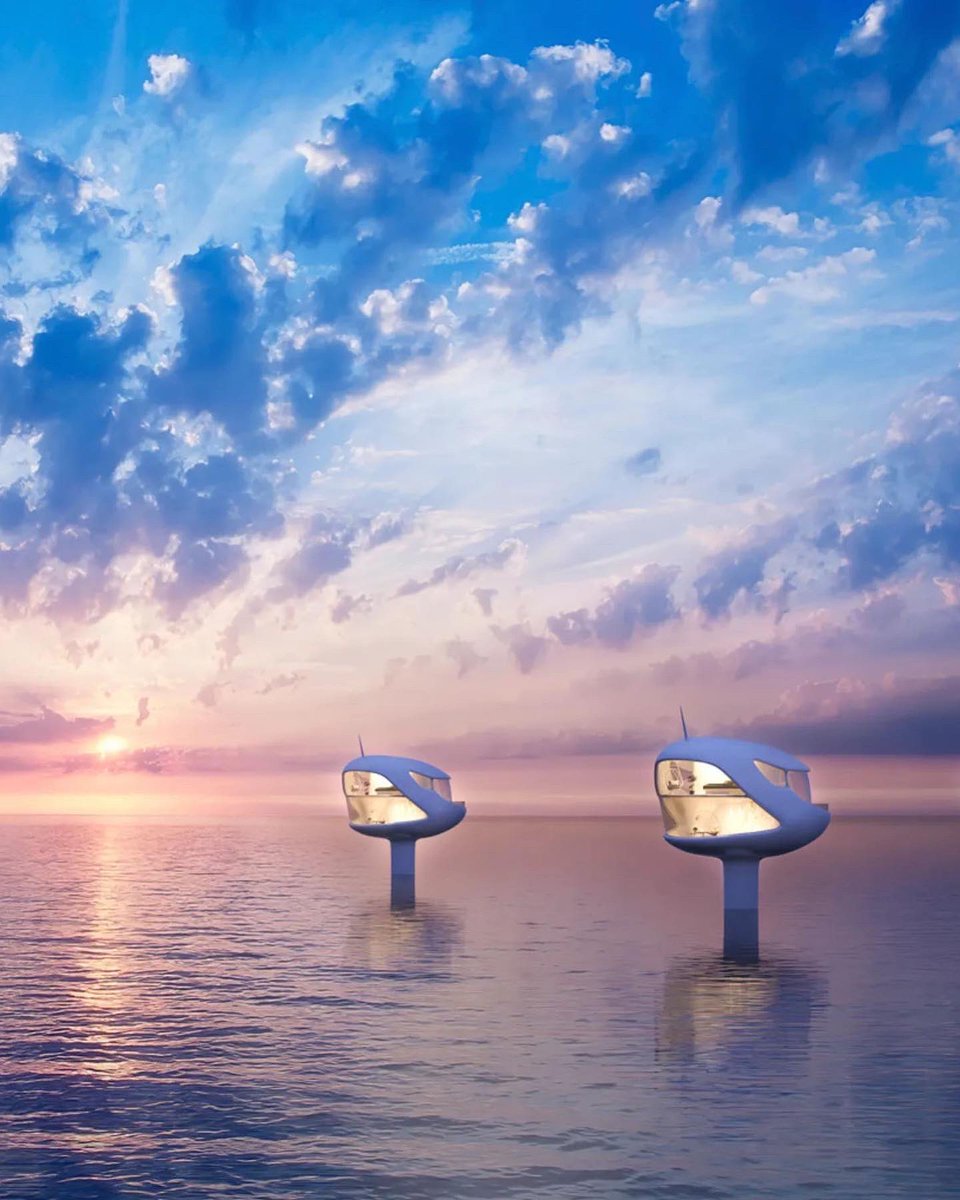 SATORI & SCOUT tweet media