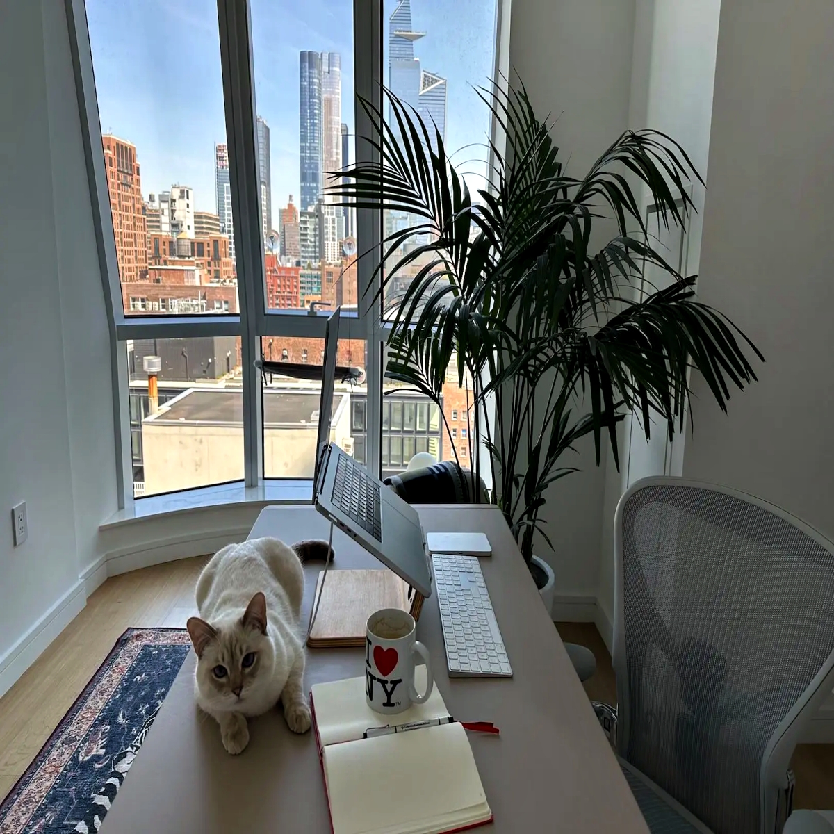 Internet esconde muchas joyas ocultas.

15 sitios web secretos que probablemente desconocías.

[🔖 Guárdalos para después]