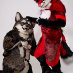 Photo by 🐺 Yalta Wuff 📷 (@YaltaWuff)
