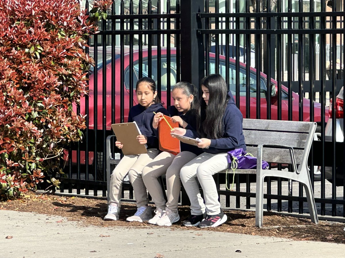 NewarkMath tweet picture