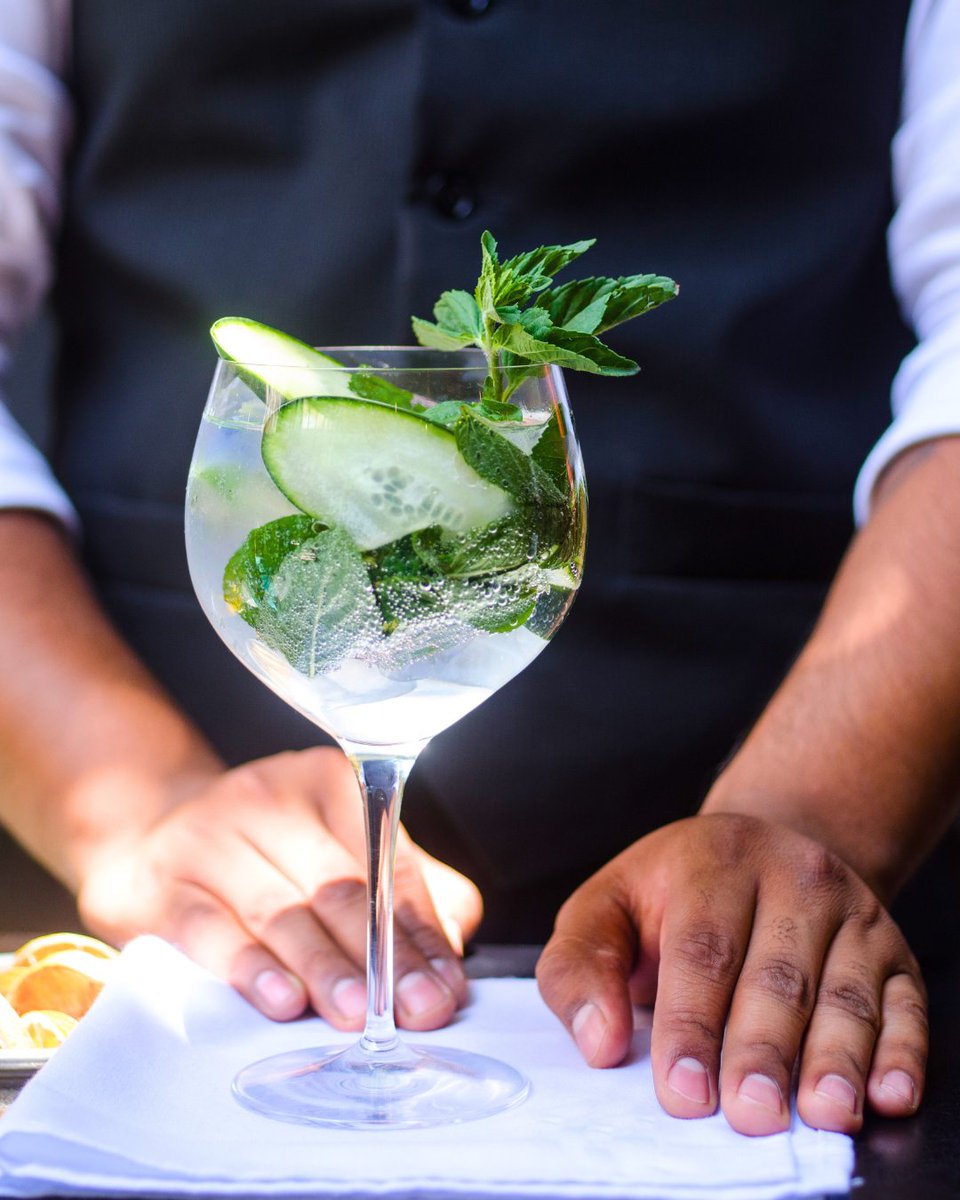 Gin and tonics come in all shapes and sizes, but one thing they should always have in common is #HighGoalGin🍋

Happy #NationalGinandTonicDay, friends!