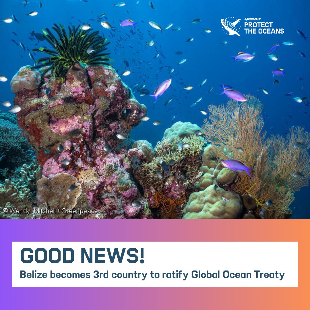 📢 Belize has just become the 3rd country to ratify the Global Ocean Treaty! 🥳

Urge your government to urgently ratify the Treaty to protect at least 30% of the ocean by 2030 >>

#ProtectTheOceans