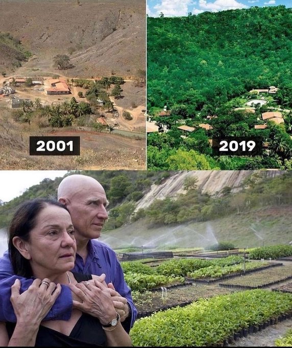 😲 Couple goals! This couple planted 2 million trees together.