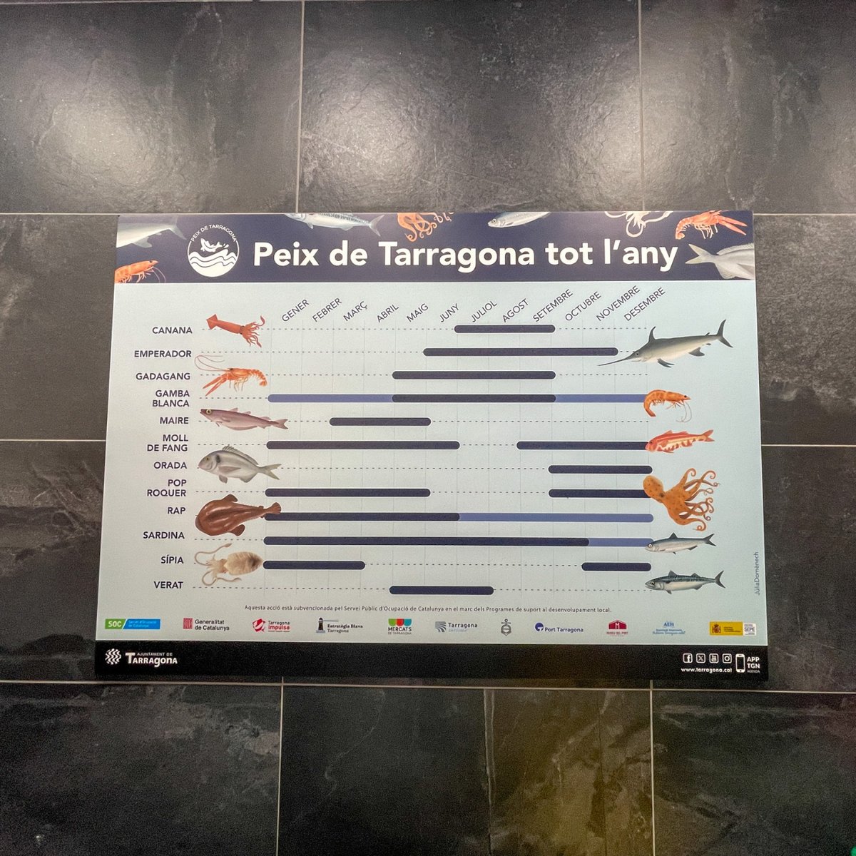 PEIX | 💭 Sabeu quan és la temporada del verat, la maire o l'orada? 🦐
👉 Ara ho podeu saber amb aquest cartell que han col·locat les companyes de <a href="/peixblautgn/">OPP Peix Blau Tarragona</a> al <a href="/tarragonamercat/">Mercat Central Tarragona</a>, perquè pugueu gaudir del Peix de Tarragona tot l'any! 😊 L'heu vist pel #Mercat? 👀 | <a href="/MercatsTGN/">Mercats de Tarragona</a>