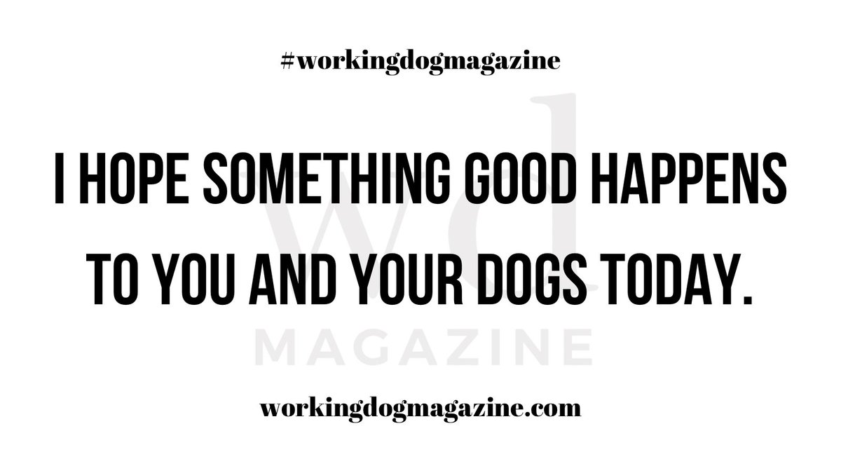 @ you and your dog(s) you deserve a trusted source #stl #workingdogmagazine #dog #dogpeople #lifestyle workingdogmagazine.com