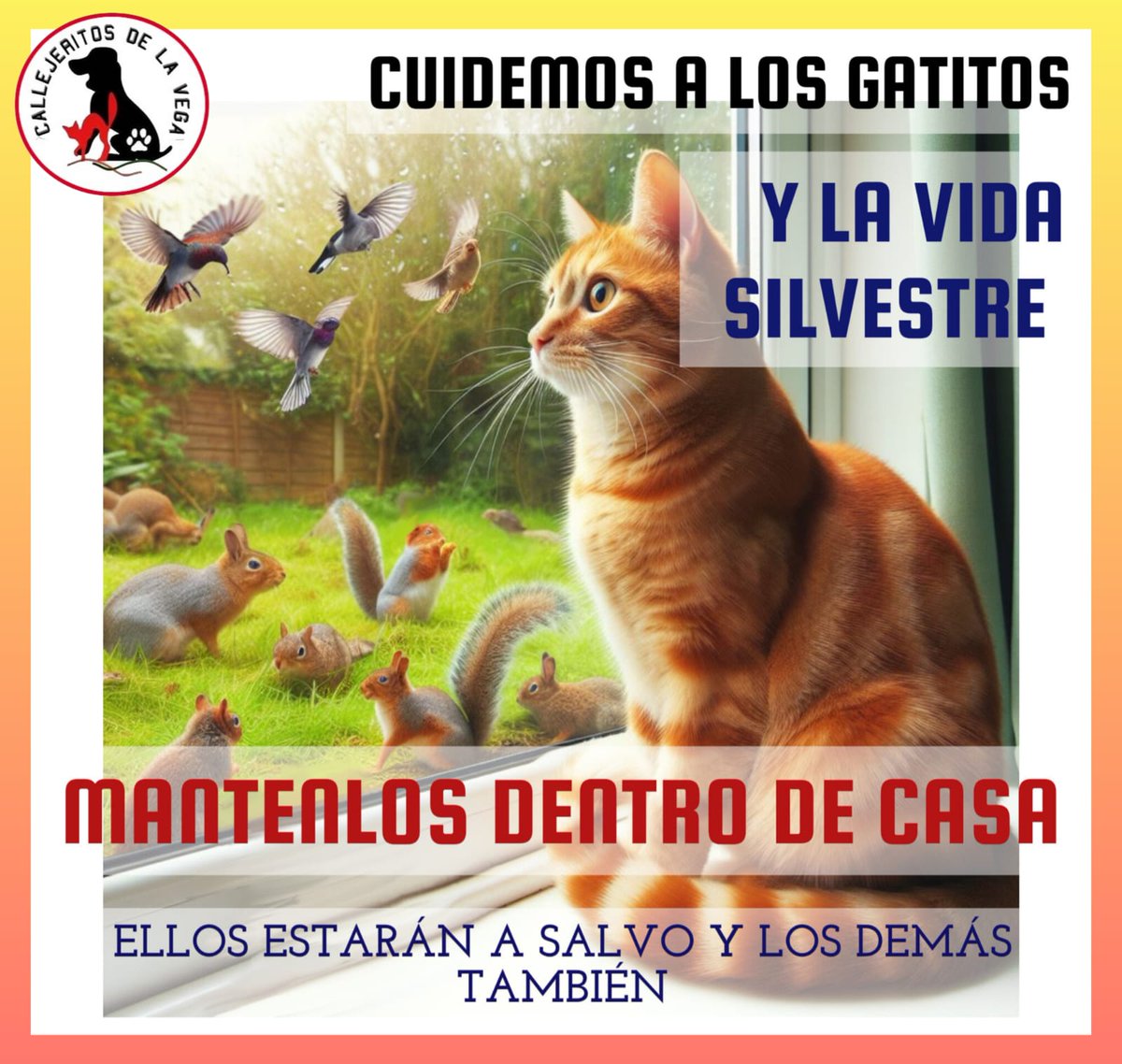La tenencia responsable de gatos involucra el resguardo de su salud física y mental, pero también el preocuparnos de que nuestro felino no genere molestias o daños a otros animales (fauna silvestre,  y otras mascotas) o a las personas y principalmente para su seguridad  🐱🐱