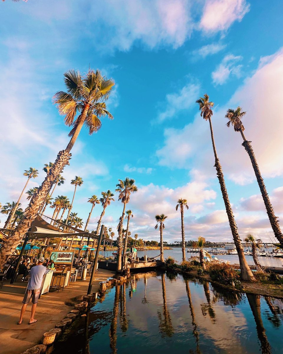 Explore new tastes at Barefoot Bar &amp; Grill, where the views are pure magic. 

📷; @kirbybk

#sandiego #sdfoodie #paradisepointsd #discovermissionbay #sandiegofoodies #sandiegoeats #eatsandiego #sdfoodscene #youstayhungrysd #dineoutsd #visitsandiego #visitsd