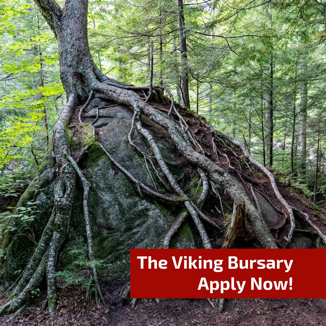 🌍 Got an innovative project that could shape the future of forestry? 🌱 The RFS Viking Bursary could be your ticket to further funding! 🌳 Don't miss out – apply by April 30th. RFS.org.uk/grants/bursari… #VikingBursary #ClimateAction #ForestryInnovation