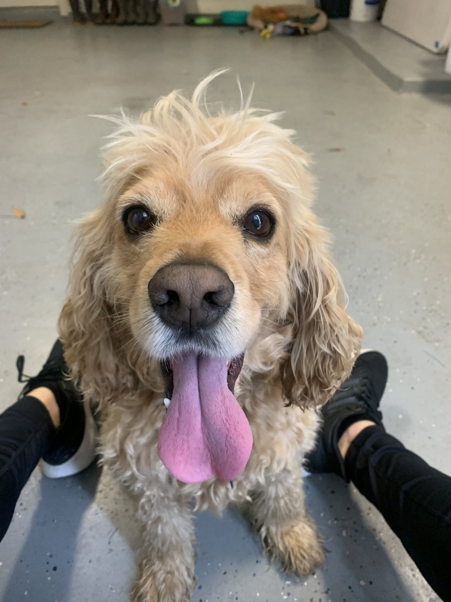 Tracee Tibbitts tweet media