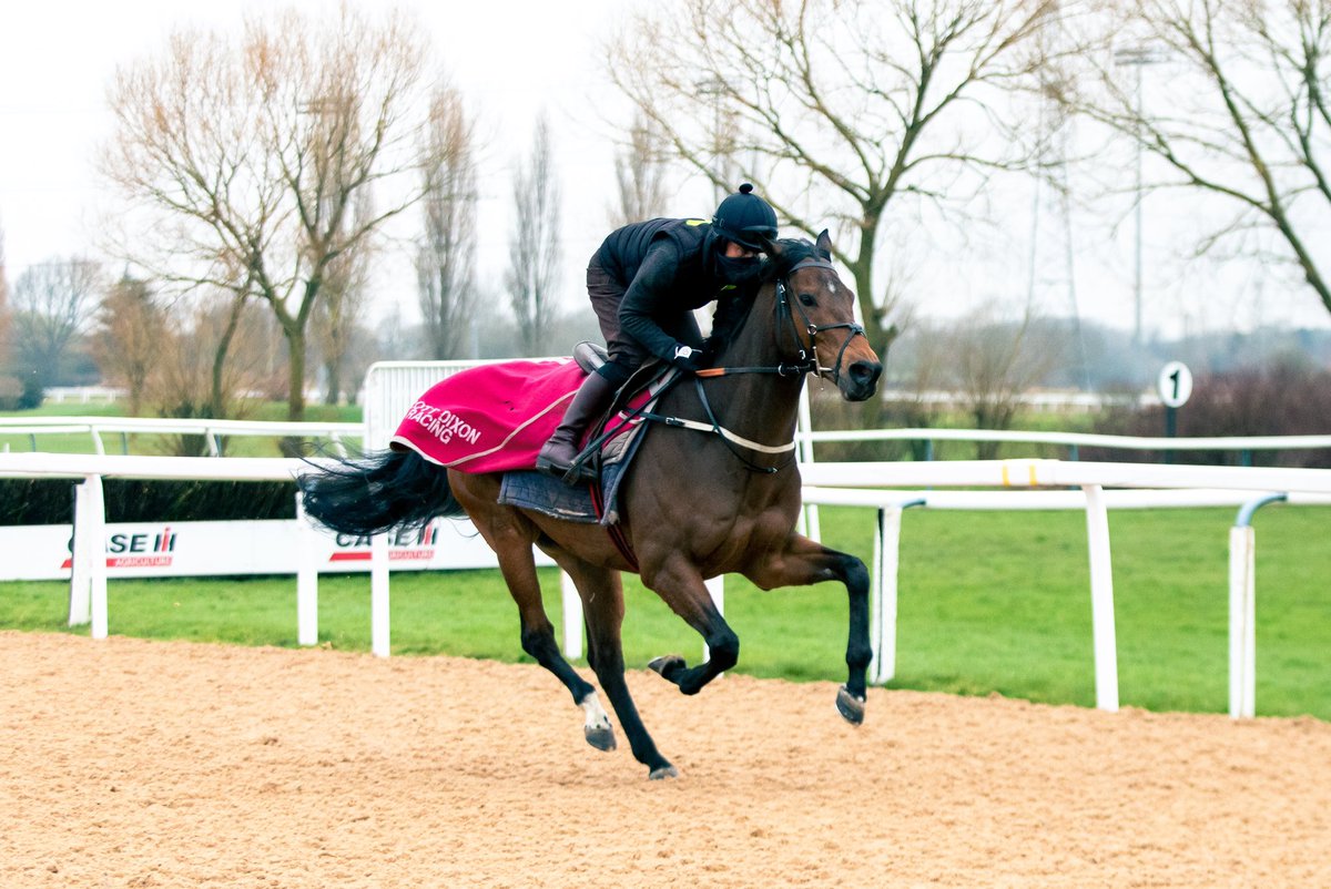 PLACED! 🥉 Sycamore finishes 3rd on his Coral Racing Club debut for @ScottPJDixon & @phillip_dennis! 👏 Once again, that means all of our owners for the day walk away with some prize money - congratulations all 🤑