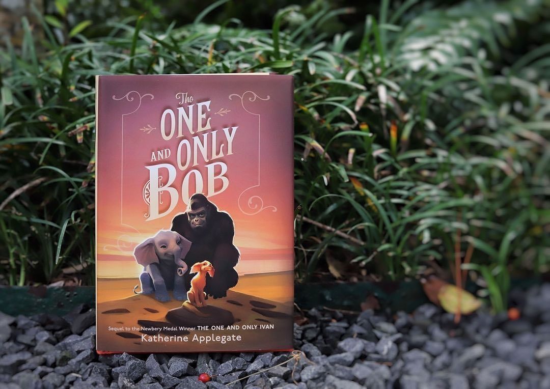 If you're catching up with Ivan and friends before THE ONE AND ONLY FAMILY, take note: The e-book and audiobook versions of THE ONE AND ONLY BOB are on sale this month. The audio is read by the incomparable @DannyDeVito. 🐕 Pick a retailer and buy here: harpercollins.com/products/the-o…