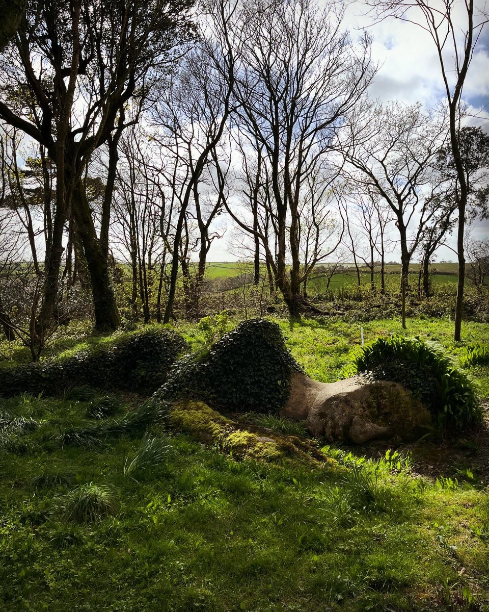 A beautiful day at @HeliganGardens Sunshine an’ more flora an’ fauna than you can shake a stick at!* *we don’t condone stick shakin’ at flora an’ fauna. #gardens #naturesbeauty #cornwall #folk