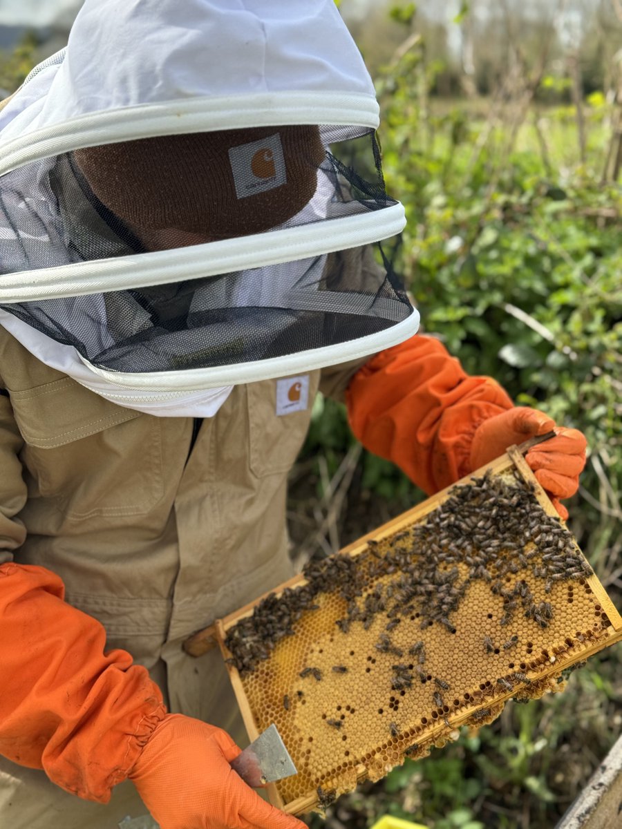 Bees looking good…..weather…….not so good! . #storm #wind #rain #beekeeping #beekeeper #carhartt #carharttworkwear #carhartteurope @CarharttEurope