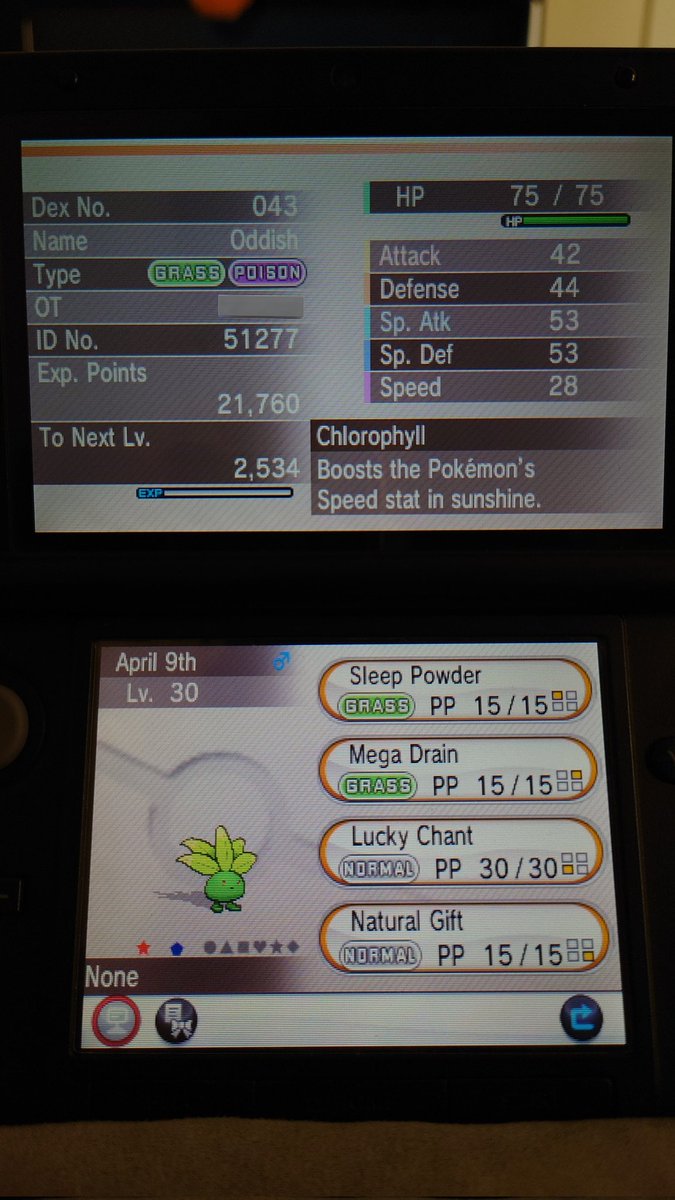 Joziken909's tweet photo. I JUST CAUGHT SHINY ODDISH! 🌿💚 My second ever wild shiny in Pokémon Y! Thank you @JohnstoneYT for the Grass Friend Safari. I am still going strong, Wonder Trading 19 hours after the 3DS online service shutdown.
#Pokemon
#ShinyPokemon
#FriendSafari
#WonderTrade
#PokemonXY
#3DS https://t.co/rAQE1rKefp