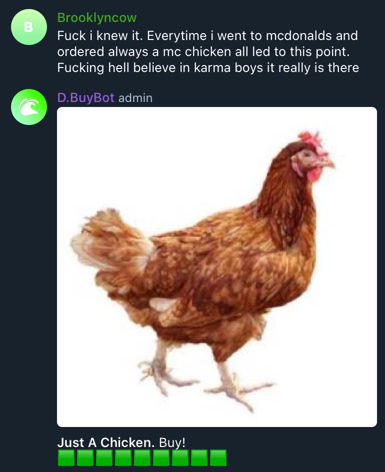 Chickens are way funnier than cats ngl