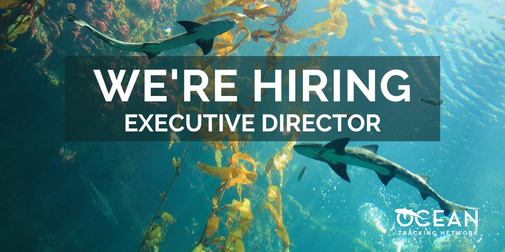 OTN is hiring an Executive Director. The ED is a key member of OTN’s highly collaborative senior management team and helps drive and implement the strategic direction of the organization. Closing date: 05/02/2024 Learn more/apply: dal.peopleadmin.ca/postings/16133