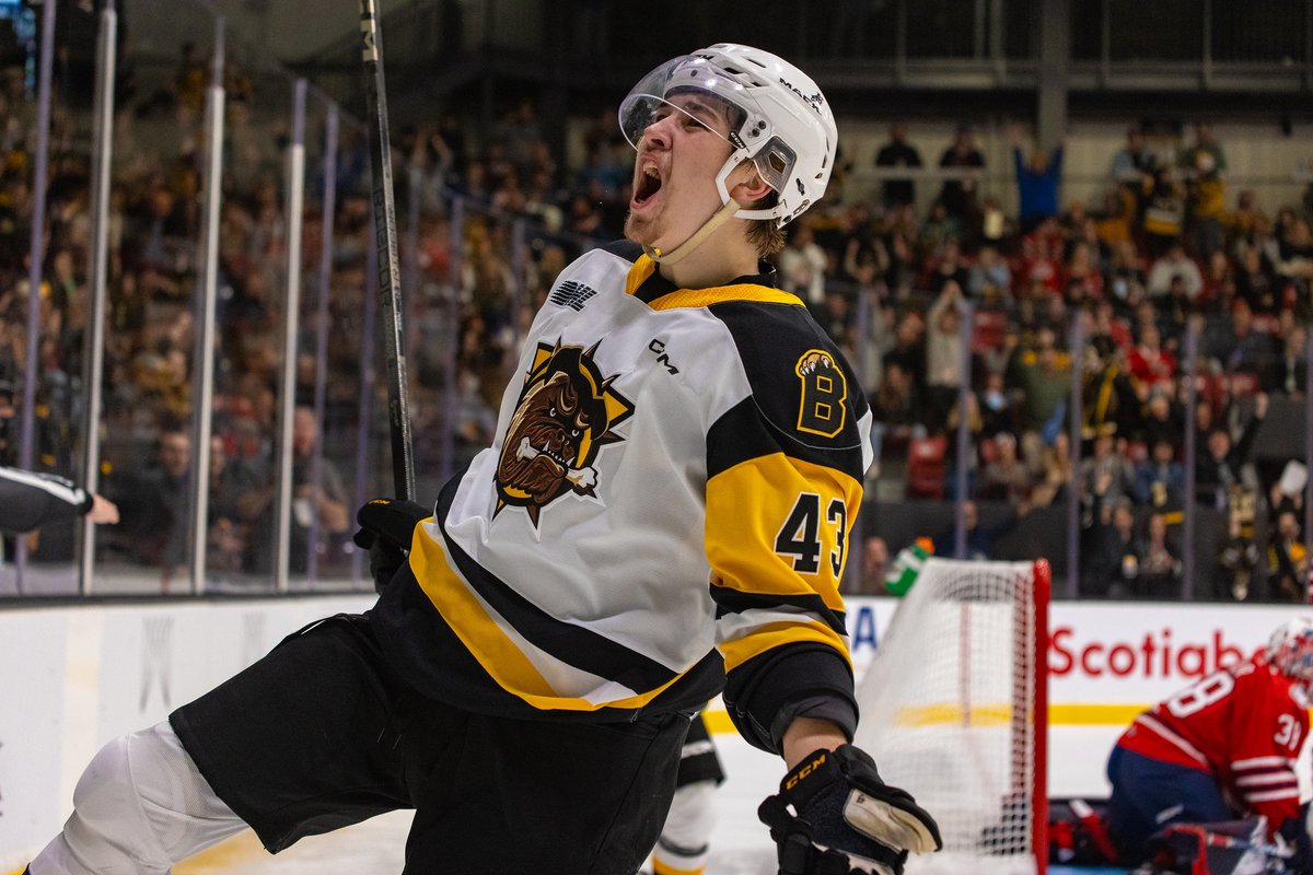 Brantford Bulldogs tweet media