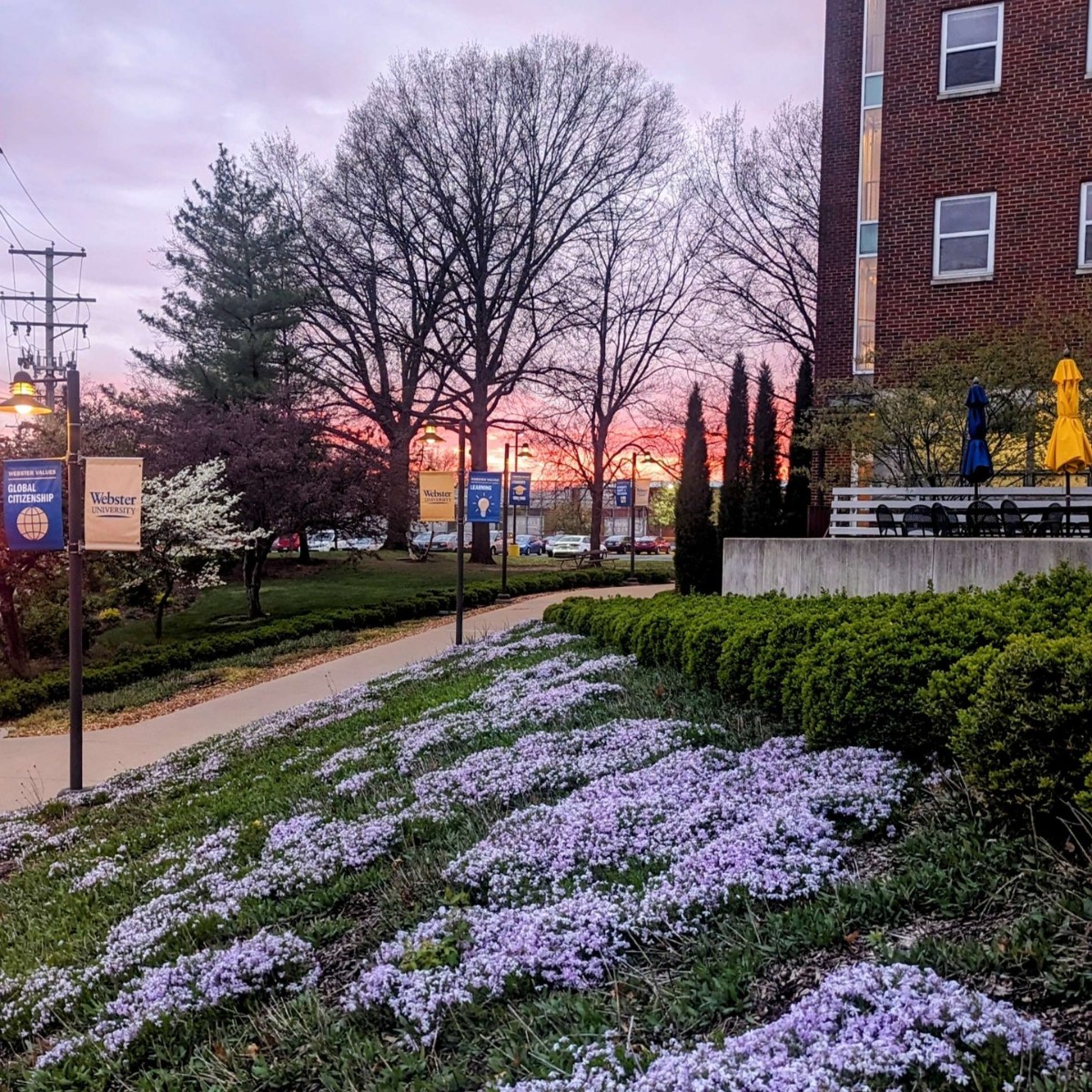 Spring at Webster is so beautiful! ♥️