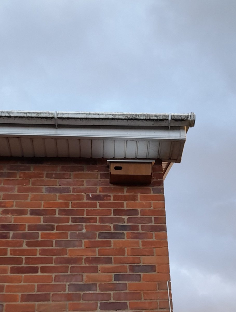 Sawbridgeworth Swifts has now put up 26 Swift boxes in the Sawbridgeworth and Bishop's Stortford area in time for the return of the birds in a few weeks. A further installation day is planned soon for anyone in the area that is interested #hertsbirds