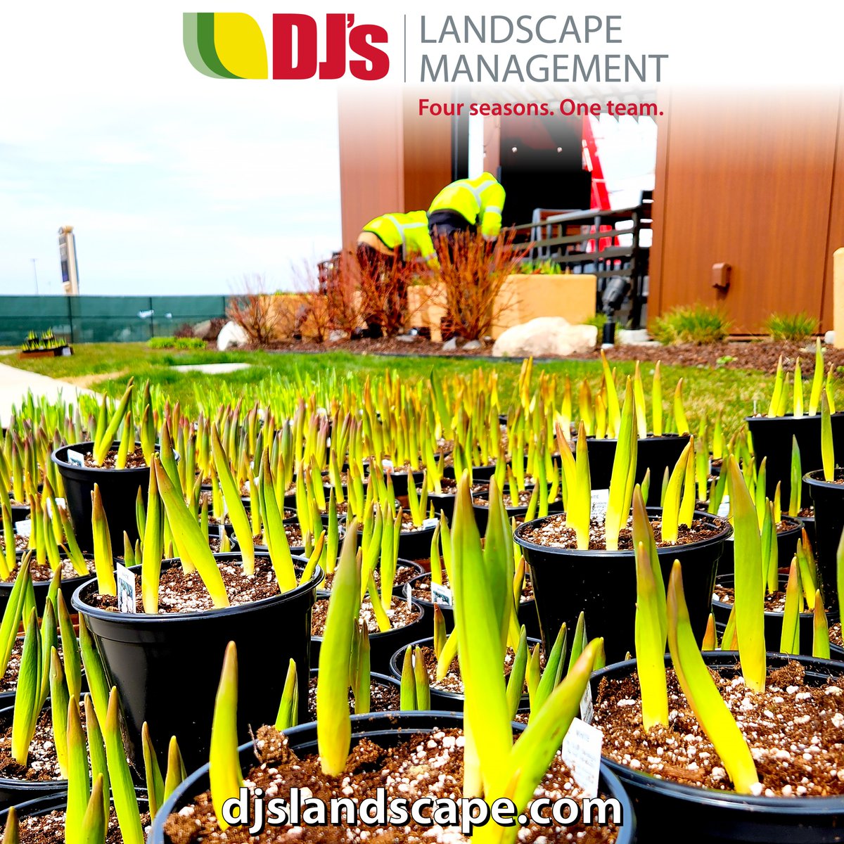 So many plants so little time for #TeamDJ #GrandRapids ... but we will make the time! djslandscape.com

#plantlife