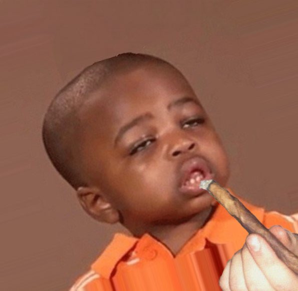 DEV got so high, he burnt supply

4.20% liquidity locked and added to the LP 

11 days left to buy $WEED