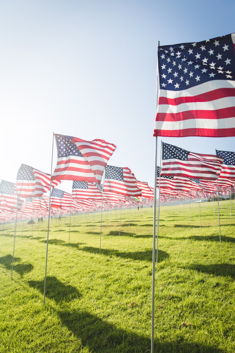 Enhance your community spirit by adorning your neighborhood with vibrant outdoor USA field flags this coming election season! Flags are Available Here in 6' and 8' heights! flagco.com/seasonal/flag-…