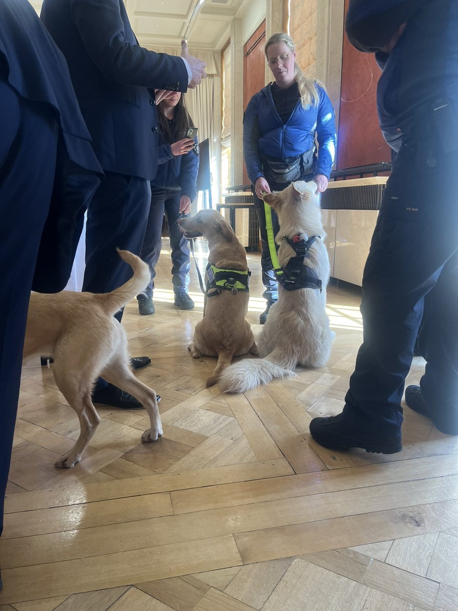 All thanks to the amazing volunteers of K9 Search and Rescue and the stars of the show Max the black lab and his 🐶friends. These volunteers fully fund their amazing search and rescue activities and have been a valuable charitable resource both here in NI and internationally…