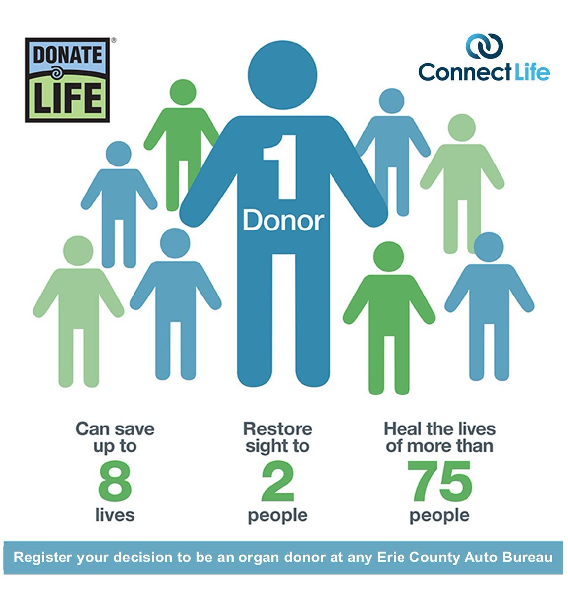 April is National #DonateLifeMonth - a time to raise awareness about organ donation & encourage WNYers to register as donors.🫀 Motorists 16+ can enroll in the @DonateLifeNYS Registry when applying for or renewing a driver’s license or non-driver ID. #DonateLife💙💚#BeAHero🦸‍♂️