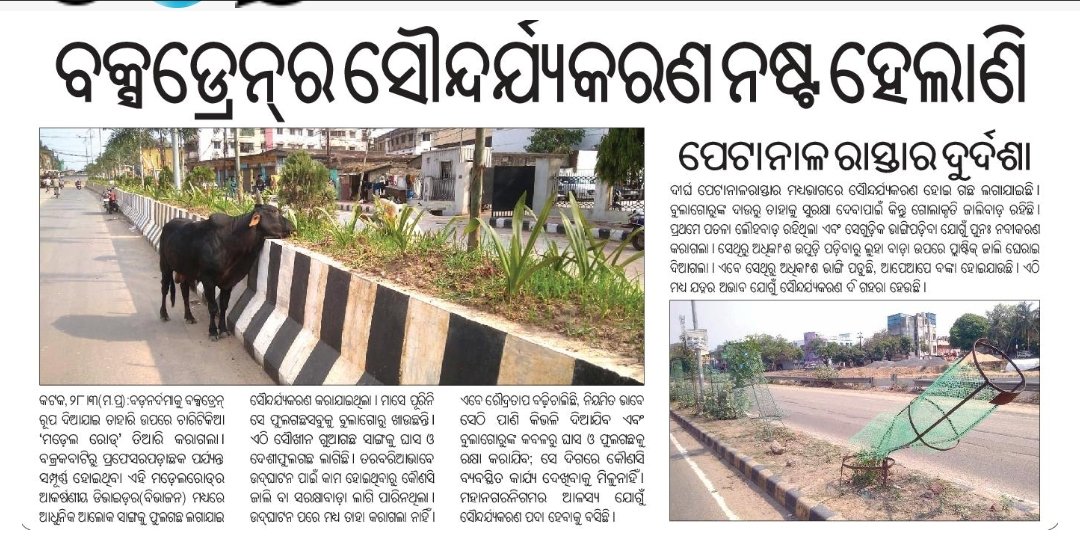 Anjan S. tweet media