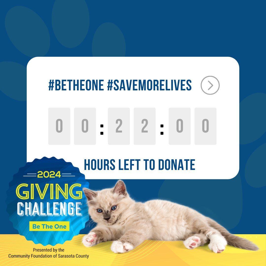 22 HOURS OF 2024 GIVING CHALLENGE LEFT! During the 24-hour Giving Challenge, every gift from $25-100 will be doubled! That means your gift of $100 = $200 for the health of our kitties! DONATE NOW: bit.ly/4atJ0tv or call (941) 366-2404 #givingchallenge2024 #savemorelives