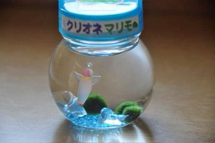 Collecting Marimo ball charm imagery (these aren’t my pics) I just like marimo balls