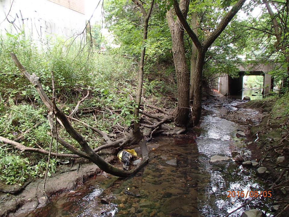 TRCA invites you to attend an in-person Public Information Centre (PIC) for the Beverley Acres German Mills Creek #ErosionControl Environmental Assessment on April 22, 2024. Visit the project website for more information: bit.ly/3EVSyzZ